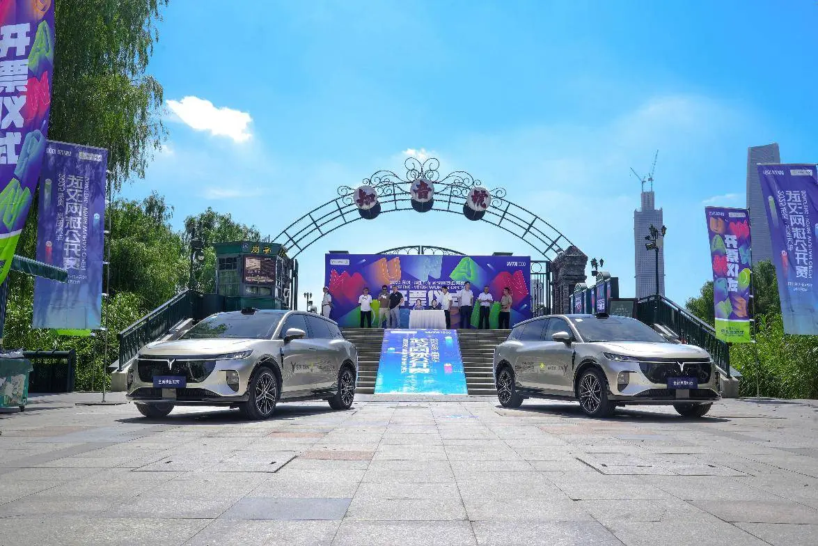 台岚图梦想, AA, msn