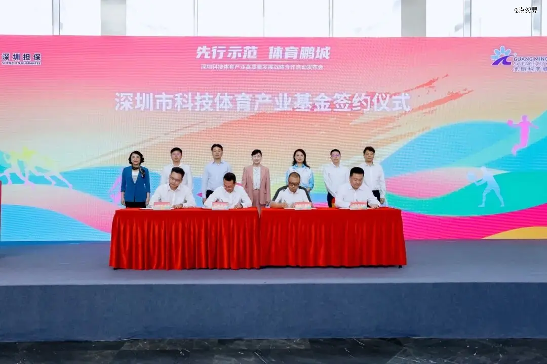 优势互补, 深圳担保集