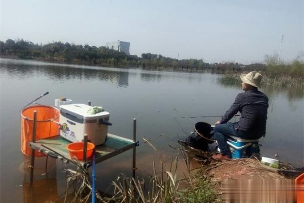 msn, 不宜, 爆护秘诀全 msn, 不宜, 爆护秘诀全