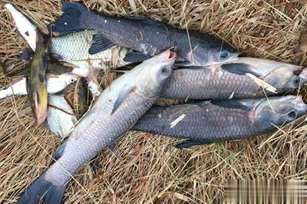 会在深水 会在深水