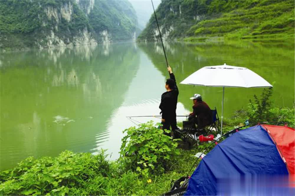 tenan, src tenan, src