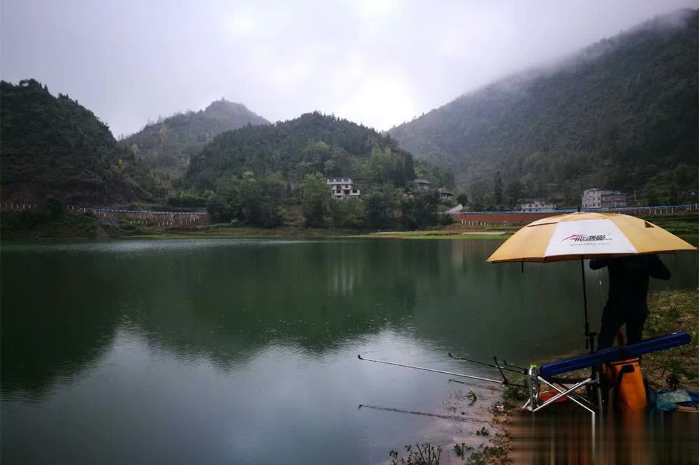 光照也不强 光照也不强